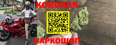 мяу мяу мука Малгобек